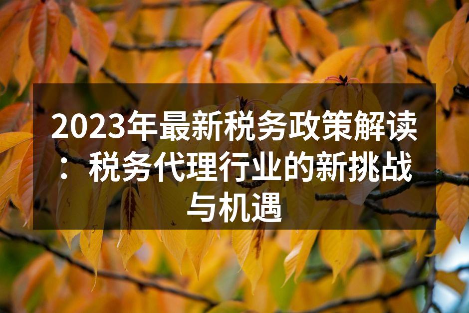 2023年最新税务政策解读：税务代理行业的新挑战与机遇